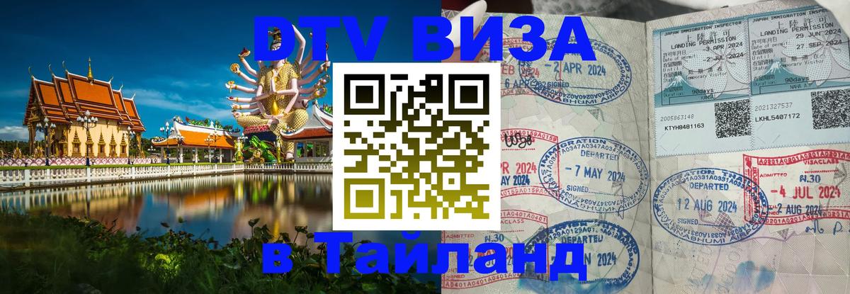 Оформление DTV визы под ключ: стоимость и тарифы, только загранпаспорт - 
